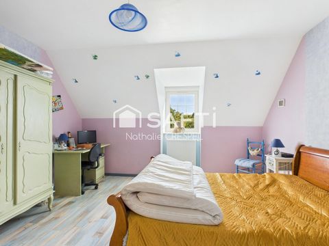 photo no. 15