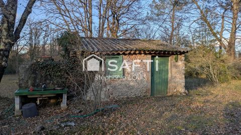 photo no. 13