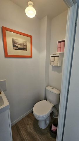 photo no. 7