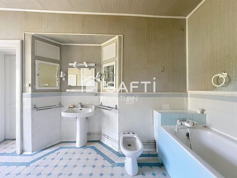 photo no. 11