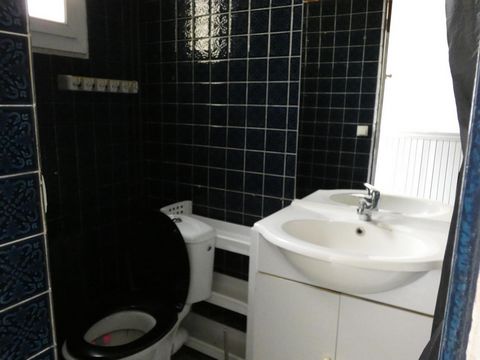 photo no. 7