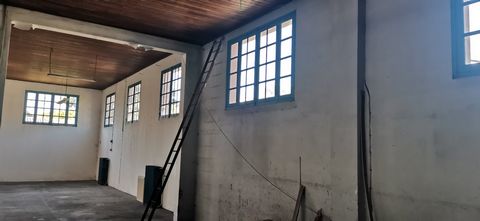 photo no. 7