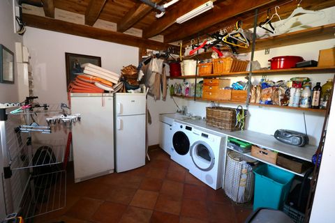 photo no. 34