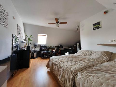 photo no. 11