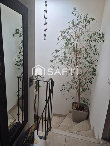 photo no. 6