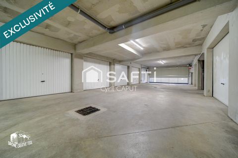 photo no. 15