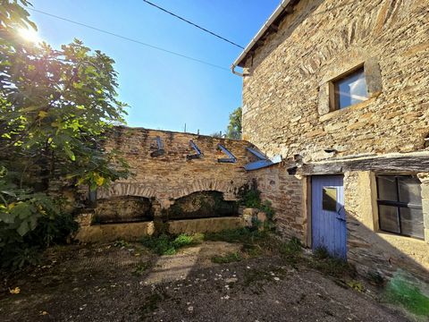 photo no. 14