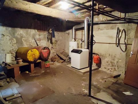 photo no. 11