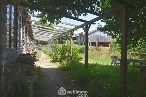 photo no. 10