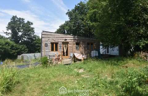 photo no. 13