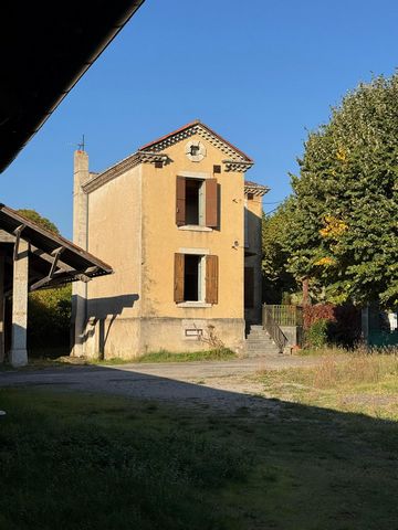 photo no. 9