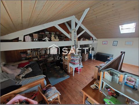 photo no. 15