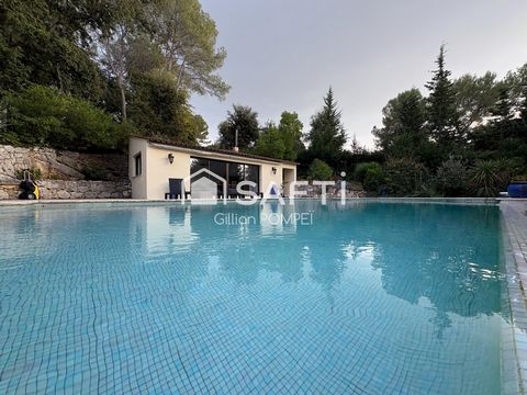 photo no. 16