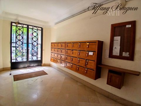 photo no. 11