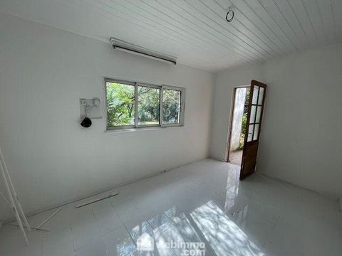 photo no. 8