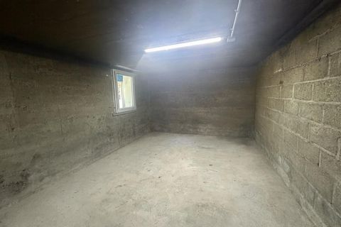 photo no. 11