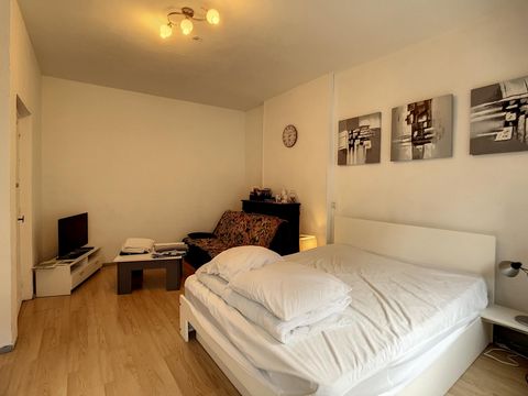 photo no. 11
