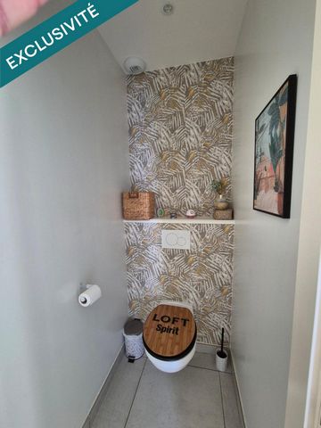 photo no. 12