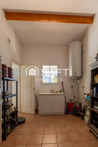 photo no. 13