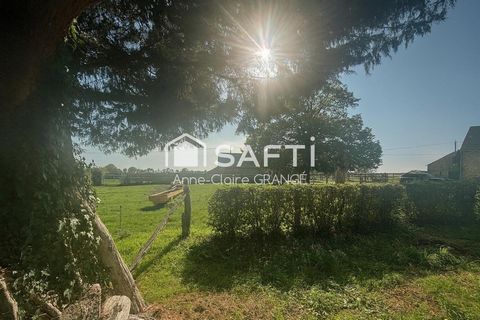 photo no. 14