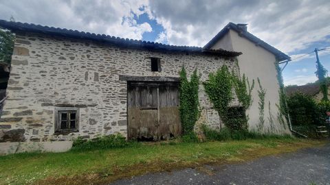 photo no. 14