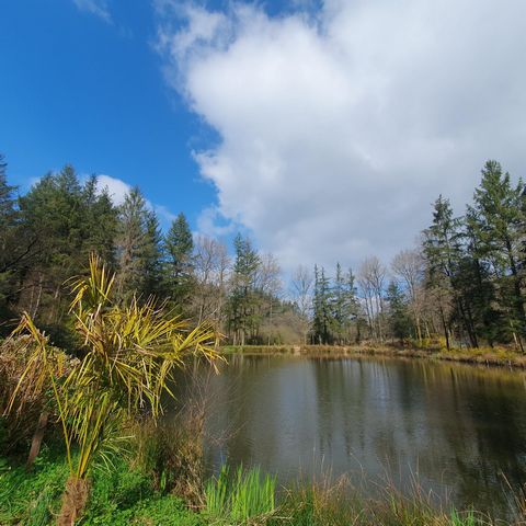 photo no. 6