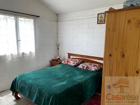 photo no. 2