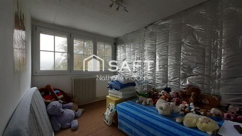 photo no. 9