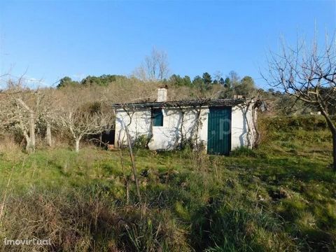 Detached farm with 520m². Location close to Souto da Casa. Highlight for the storage house and for the own water (stream and irrigated). It also has fertile soil and culture and good access. The views are mountainous. Features Zone Access: Tarmac, Di...