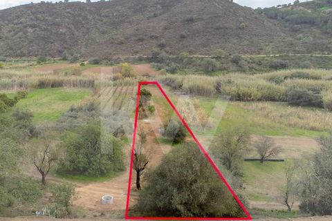 Opportunity for Nature Lovers: Plot of Agricultural Land on the Banks of the Stream in Guarda das Pereiras, Odeleite. Explore the magic of rural life on this plot of agricultural land, embraced by the waters of the Odeleite stream. With an area of 92...