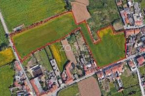 Identificação do imóvel: ZMPT537230 Discover a unique investment opportunity in Lavra, Matosinhos, Porto! This stunning mixed-use land boasts an impressive area of 18,480 m2, strategically located near the junction of the A28 highway. Based on the Mu...