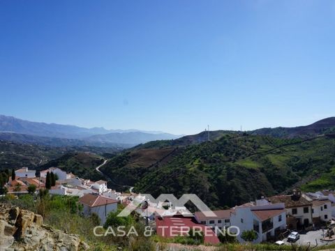 Almáchar is a white town in the interior of the province of Malaga. It is known for its Ajoblanco festival, the first weekend of September. Ajoblanco is a cold soup composed mainly of garlic and ground almonds to which grapes, apple or other seasonin...