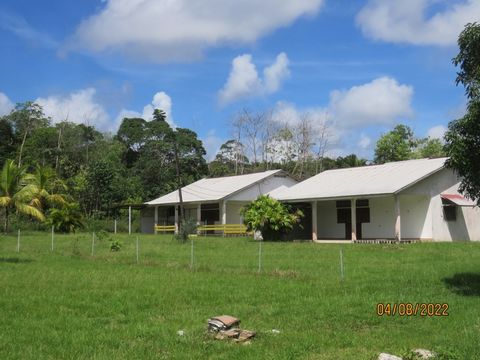 Dpt Guyane: terrain à vendre