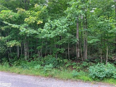Beautiful Lake Rosseau Just Minutes Away From This Gorgeous Residential Building Lot! Quiet Area With Easy Access To Muskoka Lakes Marine And Waterfront Park In The Quaint Community Of Rosseau! Partially Cleared Lot. Make Your Dream A Realty!