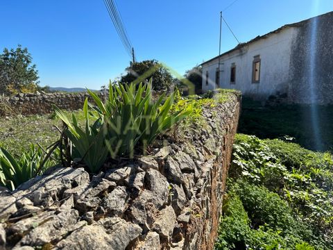 Located in the town of São Brás de Alportel, this 19th-century property built in 1885 is truly a gem. With 1.2 hectares of land, it offers endless possibilities for development and expansion. There are two urban articles included that can be restored...