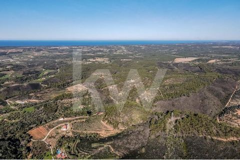 In the idyllic region of Aljezur, you'll find this rustic plot of land, open to various possibilities and conscious investments . With a generous extension of 12,875 m2 , this property offers a unique opportunity to immerse yourself in the natural be...