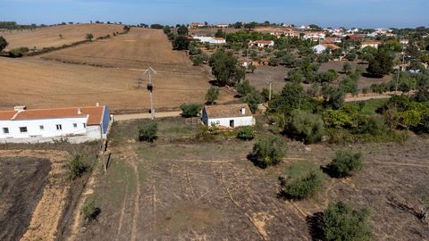 Gospodarstwo o powierzchni całkowitej 8 250 m2, całkowicie płaskie, studnia, drzewa owocowe, infrastruktura i urządzenia sanitarne obok wejścia i dom o powierzchni 63 m2 + 32 m2 do przebudowy. Ta nieruchomość znajduje się w spokojnej wiosce, 20 km od...