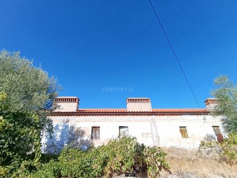 Situado em plena tranquilidade rural de Montargil, próximo à majestosa Barragem, este terreno rústico com 1000 m² oferece uma oportunidade única para quem procura a fusão entre a natureza e o potencial habitacional. O terreno acolhe três casas, todas...