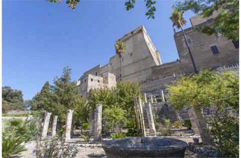 Palazzotto signorile del 1700 nel cuore del centro storico di Oria, situato nell’antico quartiere ebraico, una delle zone più suggestive e ricche di storia della città. Questa splendida proprietà, in parte ristrutturata, vanta un ampio giardino terra...