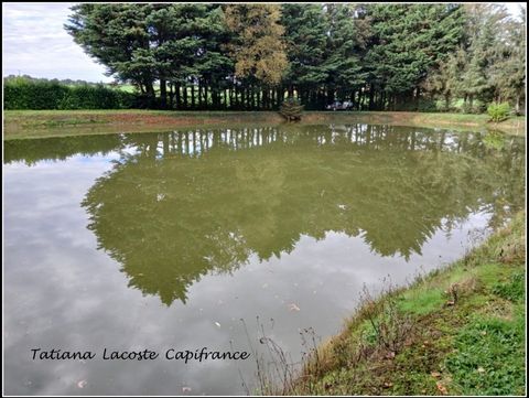 photo no. 1