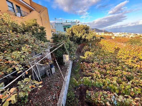 Si buscas un terreno donde poder construir tu hogar de la manera que deseas, este puede ser la oportunidad que estabas esperando. Un terreno de ciento noventa y cinco metros cuadrados en la zona de la Perdoma en La Orotava donde puedes realizar la vi...