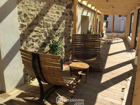 photo no. 12