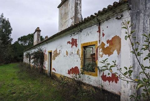 Descubra a magia de uma propriedade única em pleno Vale de Sobreiras. Esta herdade, com pouco mais de 13 hectares, é um autêntico tesouro que combina a beleza natural com um potencial de negócio excecional. Sobreiros, Pinheiros, Eucaliptos e Oliveira...