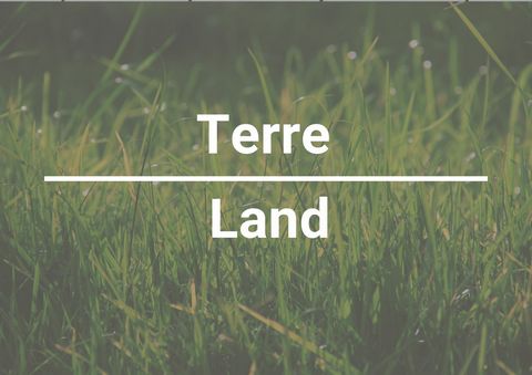 Découvrez cette magnifique terre boisée de 87 acres à Ivry-sur-le-Lac, un véritable havre de paix où la tranquillité règne en maître. À seulement 15 minutes des services de Ste-Agathe, cette propriété vous offre une intimité absolue dans un environne...