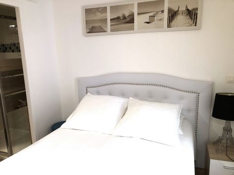 photo no. 11