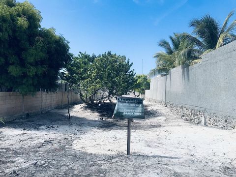 This incredible piece of land just a few blocks from the beach is the perfect place to build the house of your dreams or develop an investment project in one of the most attractive areas of the Yucatan coast. Chuburna Puerto is known for its beautifu...