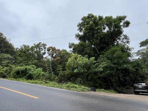 Los Jobos, Tamarindo. Magnifique terrain d’angle en face de la route principale nouvellement pavée. 41 710 pi2, à seulement 1 mile de la plage et avec un beau ruisseau qui coule sur un côté de celle-ci et beaucoup d’arbres matures (manguier, pochote ...