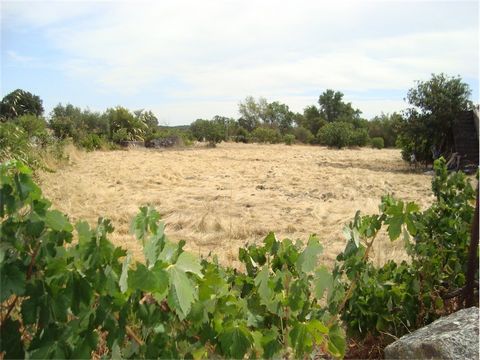 Terreno para exploração agrícola com uma área total de 4.500 m2 vedado. Tem diversas árvores de fruto, um poço e um anexo em pedra granítica, um terreno muito fértil. Tem eletricidade, água da rede e saneamento básico disponíveis para ligação. Está l...