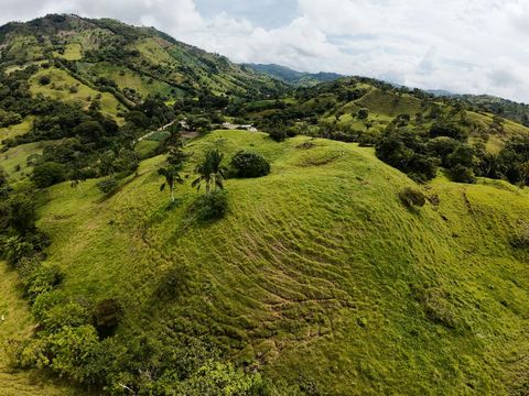 Expansive 20-hectare Parcel with Mountain Views, Streams, and Subdivision Potential in Colinas, Puntarenas This 20-hectare property, located in the scenic district of Colinas, Puntarenas, offers an exceptional combination of natural beauty, agricultu...