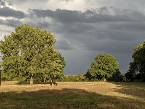 photo no. 14